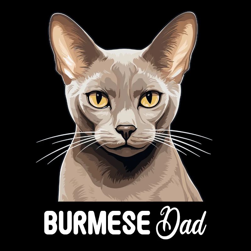 Chat birman Birmanie Katze