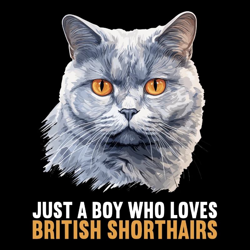 Cat Katzen British Shorthair Britisch Kurzhaar