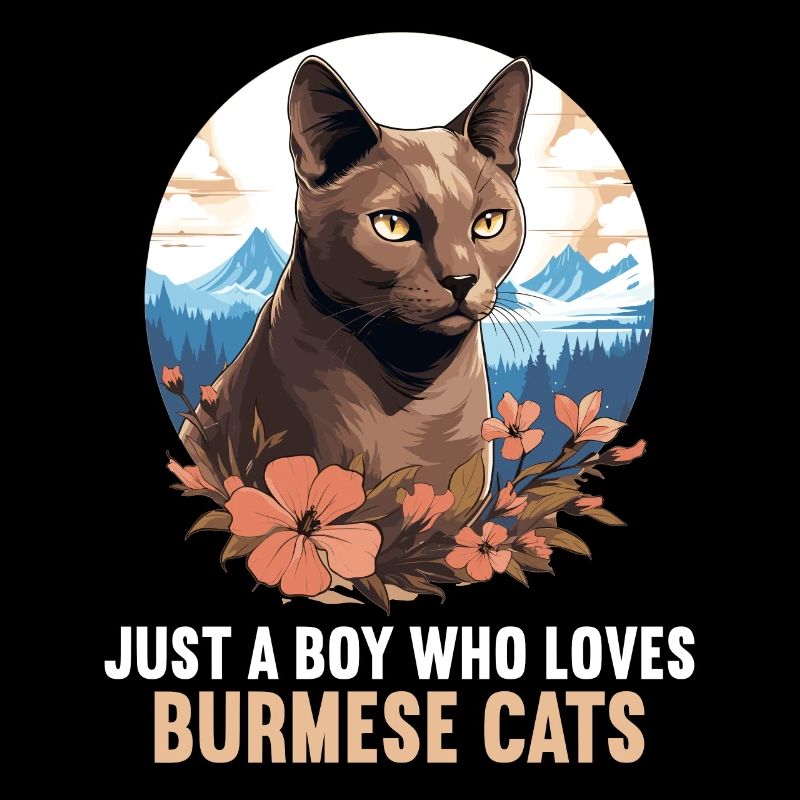 Chat birman Birmanie Katze