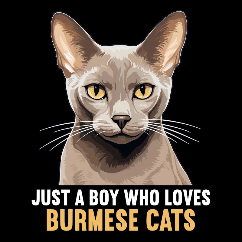 Burmese Cat Burma Katze