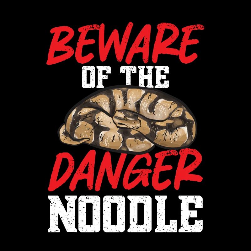 Ball Python Schlange Königspython