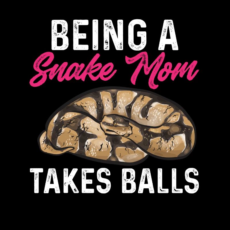 Ball Python Schlange Königspython