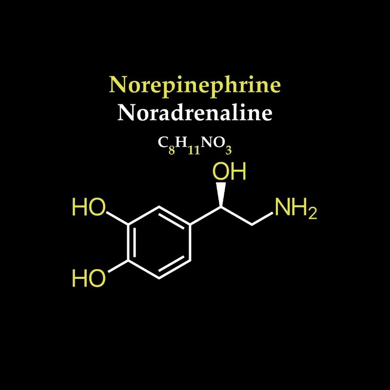 Noradrenalin-Molekül