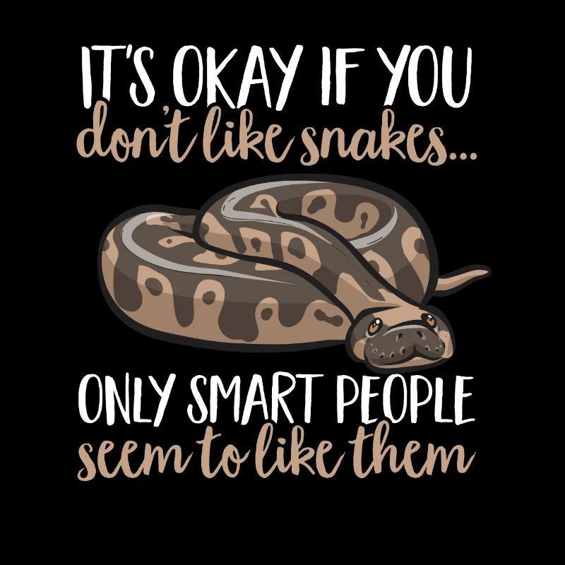 Ball Python Snake King Python