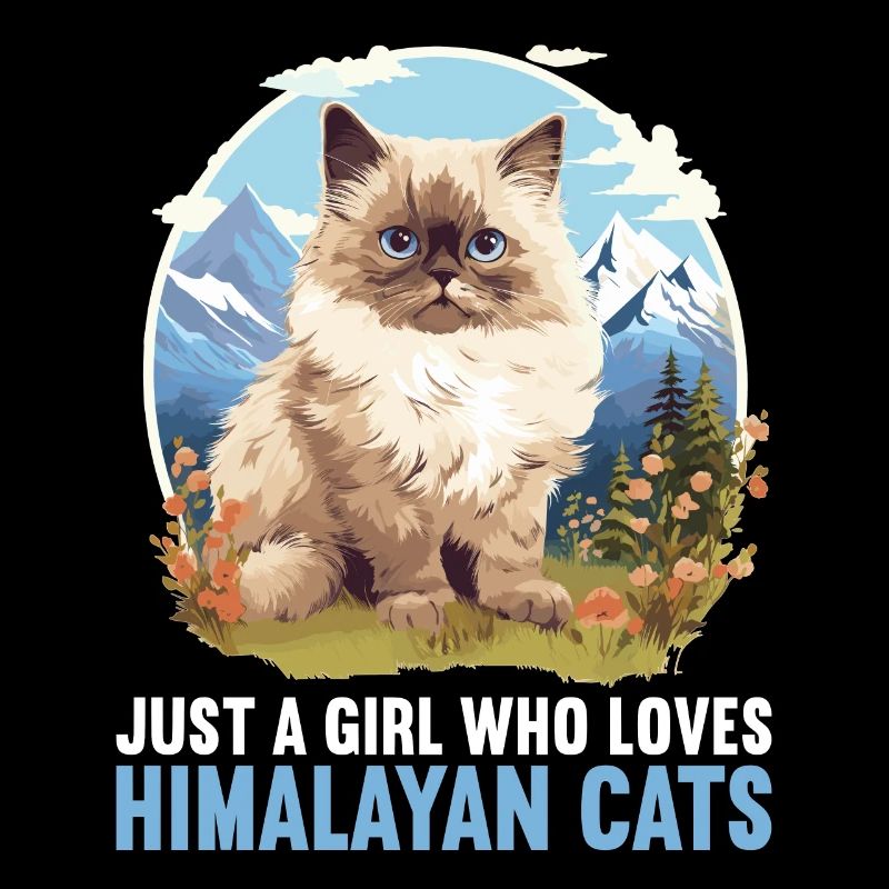 Chat de l’Himalaya Colourpoint Katze