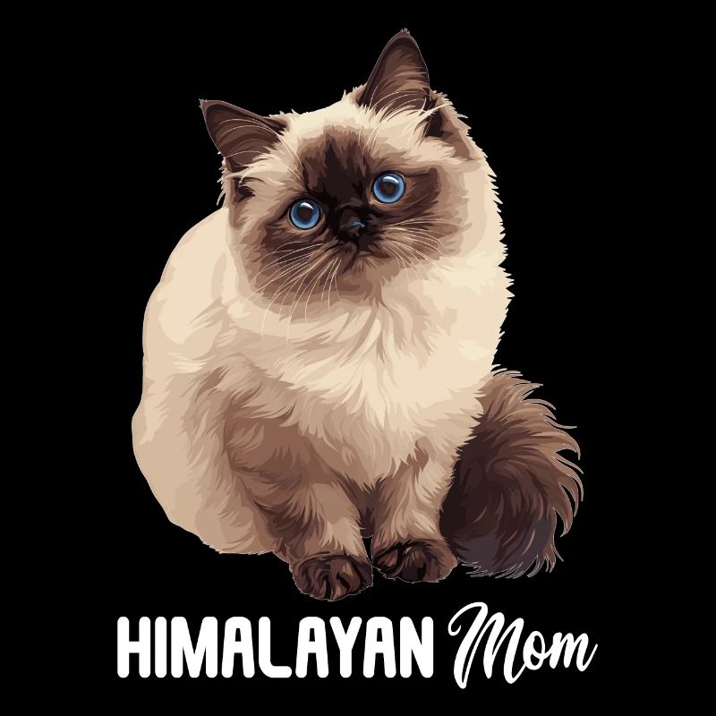 Chat de l’Himalaya Colourpoint Katze