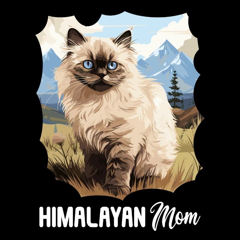 Chat de l’Himalaya Colourpoint Katze