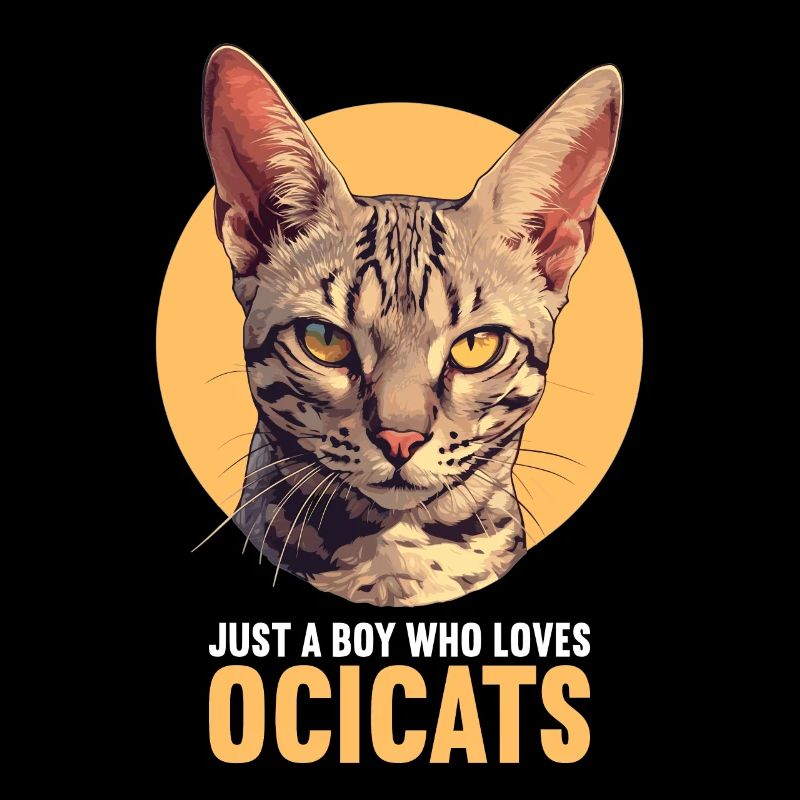 Ocicat Kitten Ocicat Cat