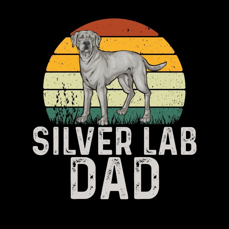 Silver Labrador Retriever Silver Lab