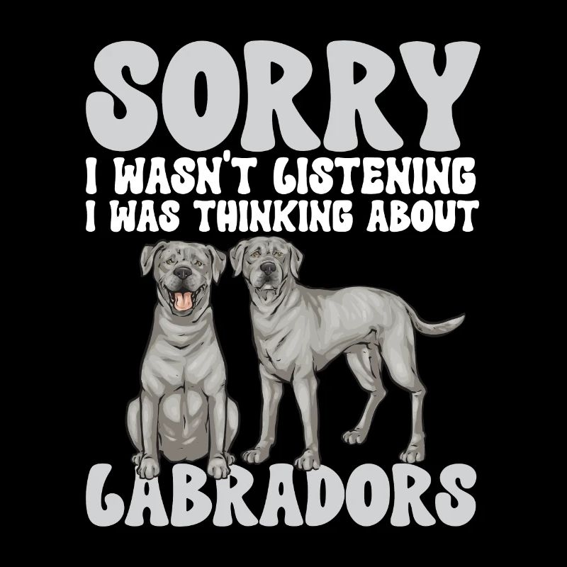 Silver Labrador Retriever Silver Lab