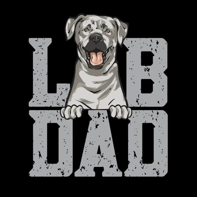 Silver Labrador Retriever Silver Lab