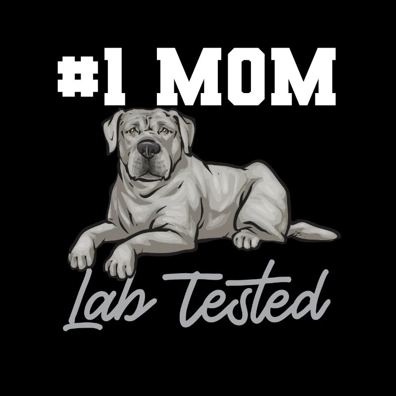 Silver Labrador Retriever Silver Lab