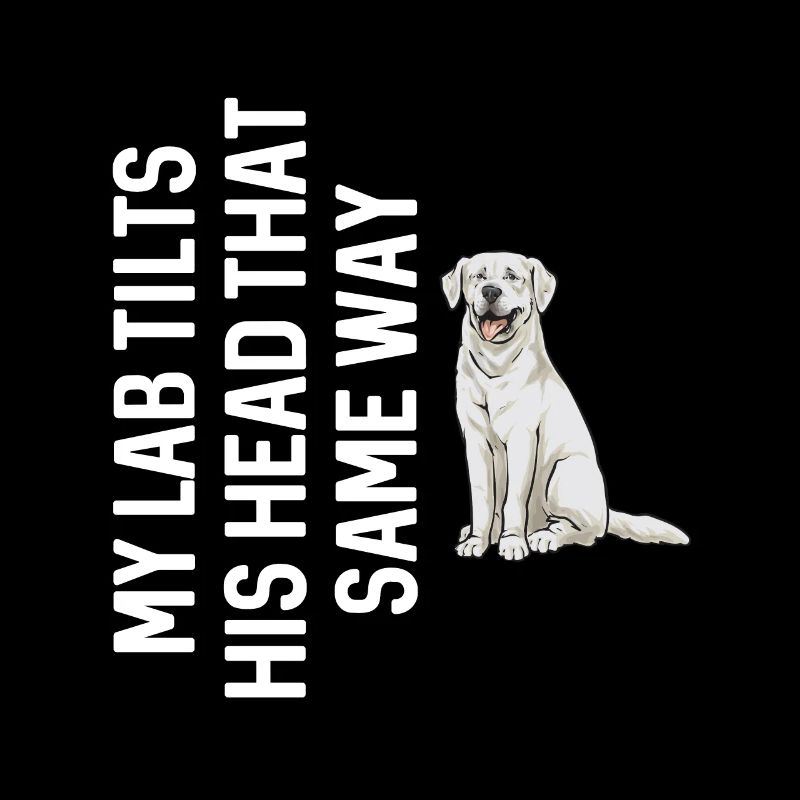 Weißer Labrador Retriever Weißer Lab
