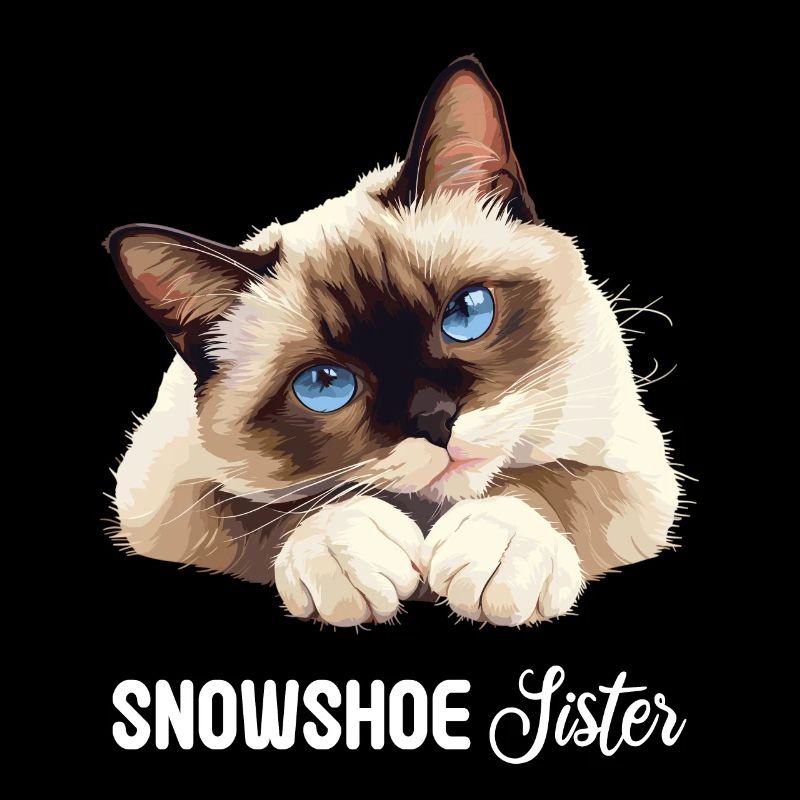 Chaton raquette Chat raquette