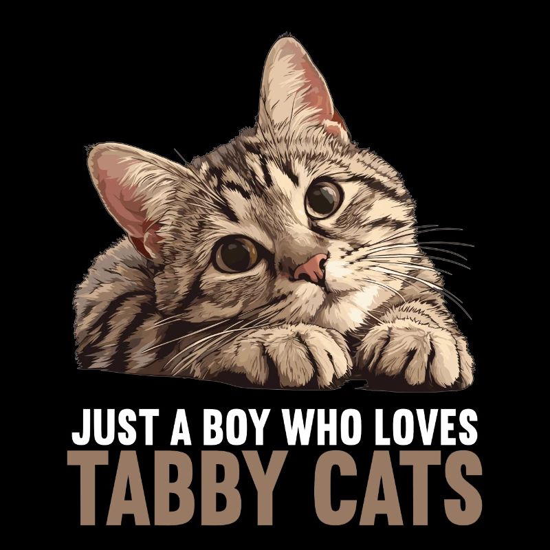 Tabby Kitten Tabby Cat