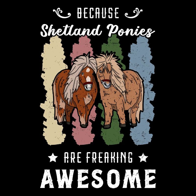 Pferde Pony Shetland Shetty Mädchen Reiterin