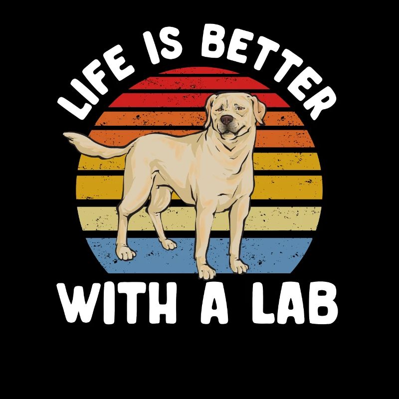 Labrador Retriever jaune