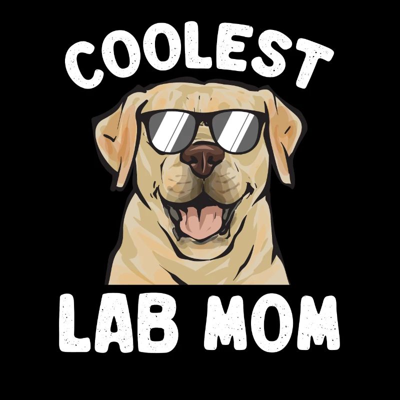 Labrador Retriever jaune