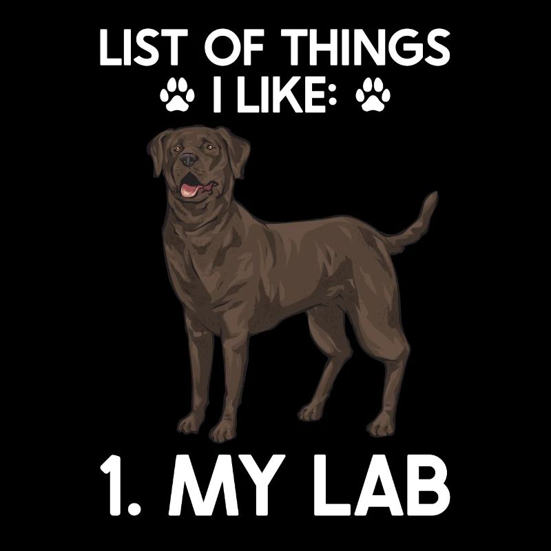 Chien Labrador Retriever brun chocolat