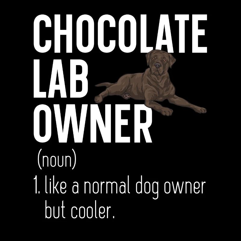Chien Labrador Retriever brun chocolat