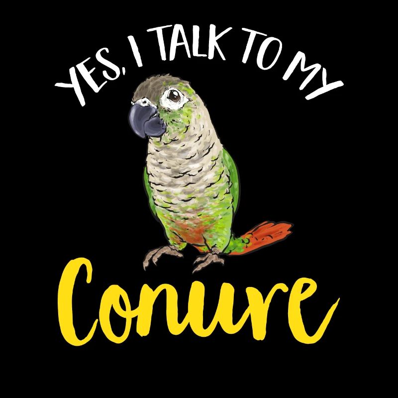 Molinasittich Papagei Vogel Sittich