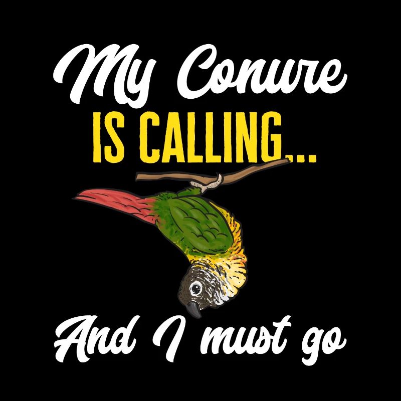 Molinasittich Papagei Vogel Sittich