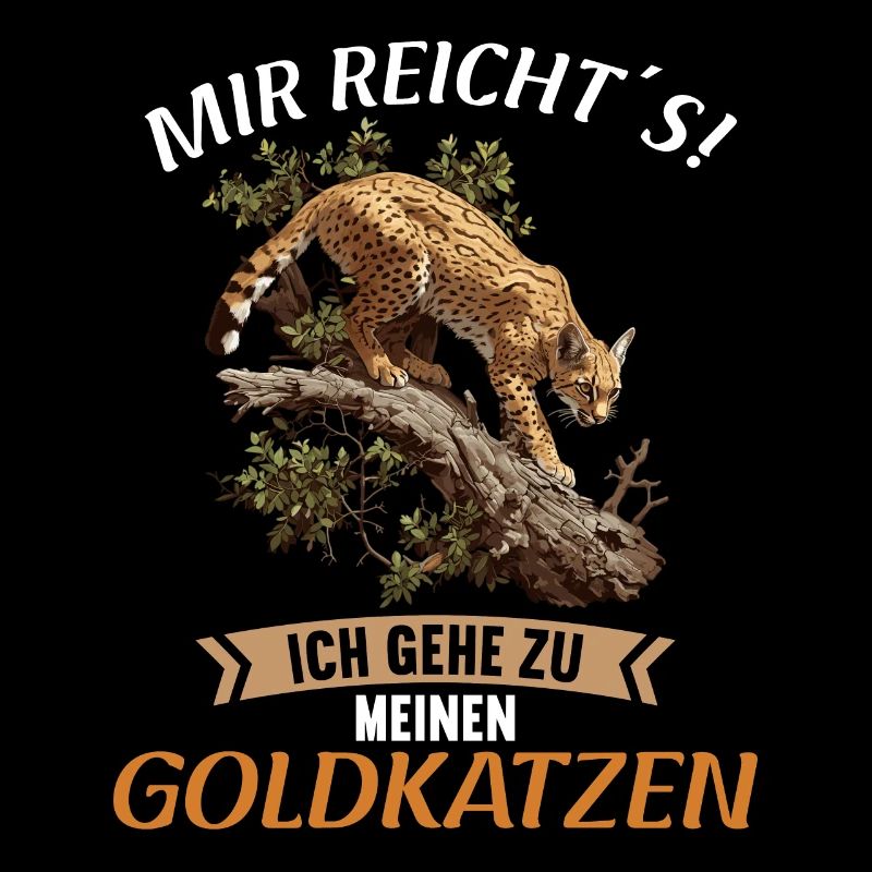 Chats dorés Chat doré