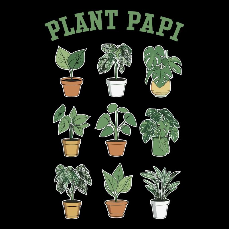 Plant Papi - Houseplant love for real