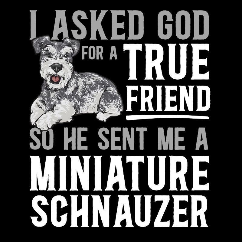 Schnauzer nain Chien Schnauzer