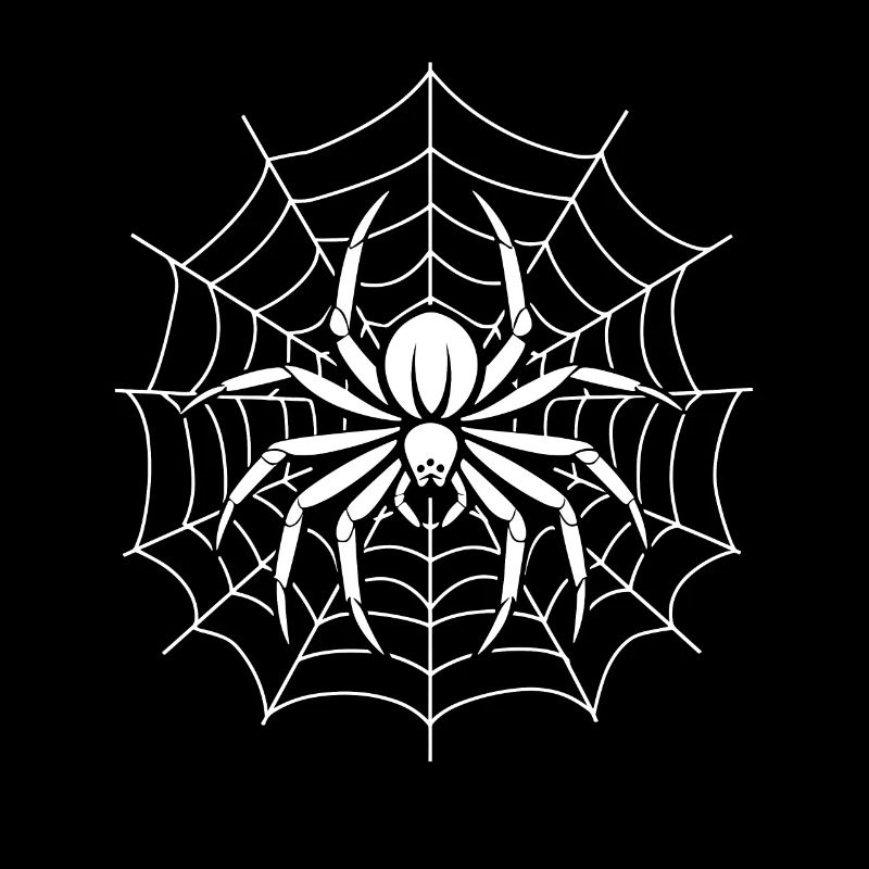 Spinne