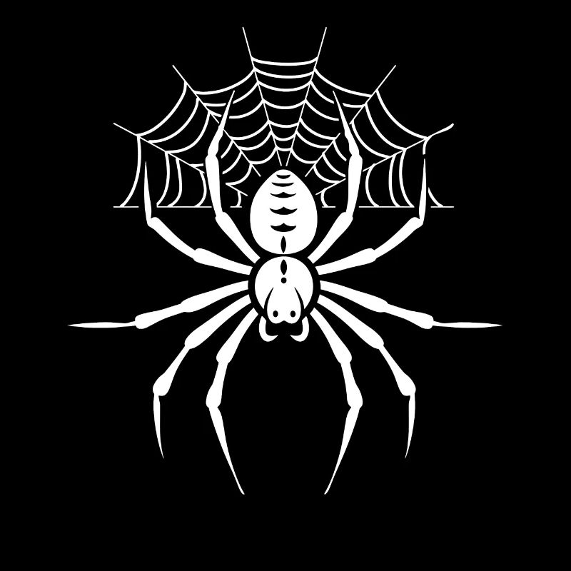 Spinne
