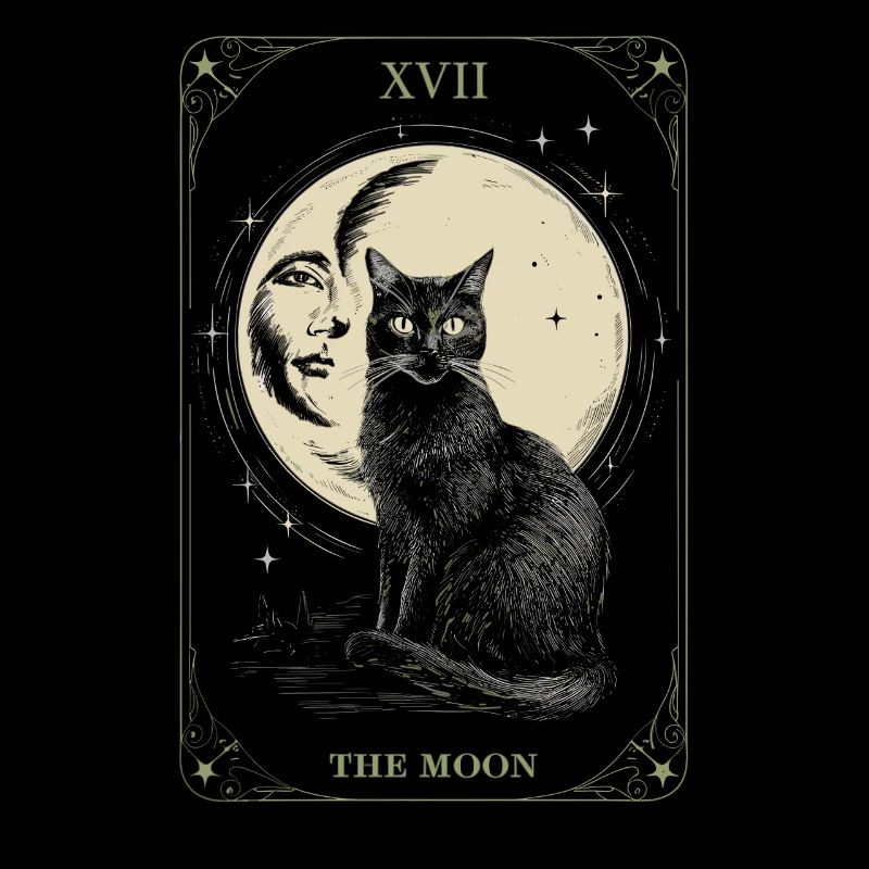 Mysterious Moon and Black Cat XVII