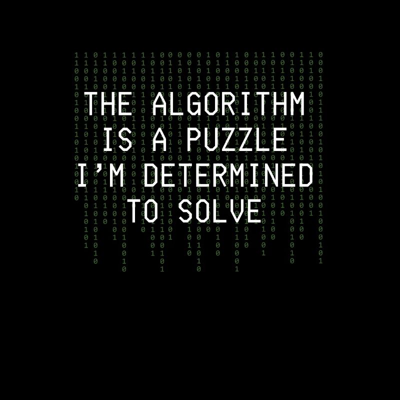 Algorithm Puzzle Solve Binary Code