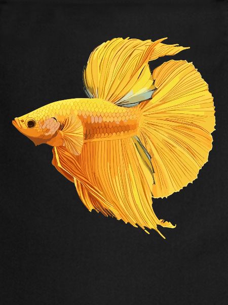 Bettas Betta Poisson Betta