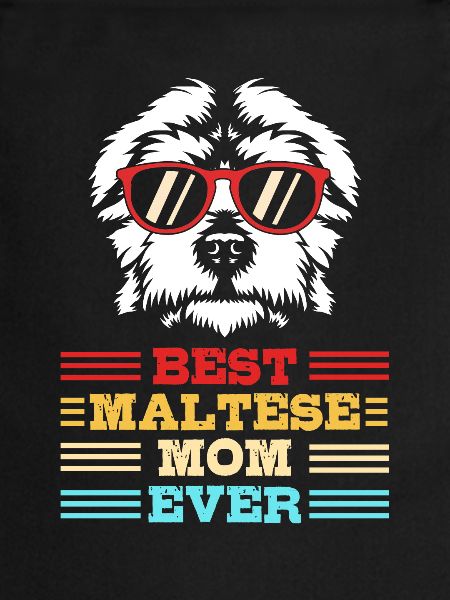 Chien maltais