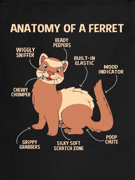 Furet