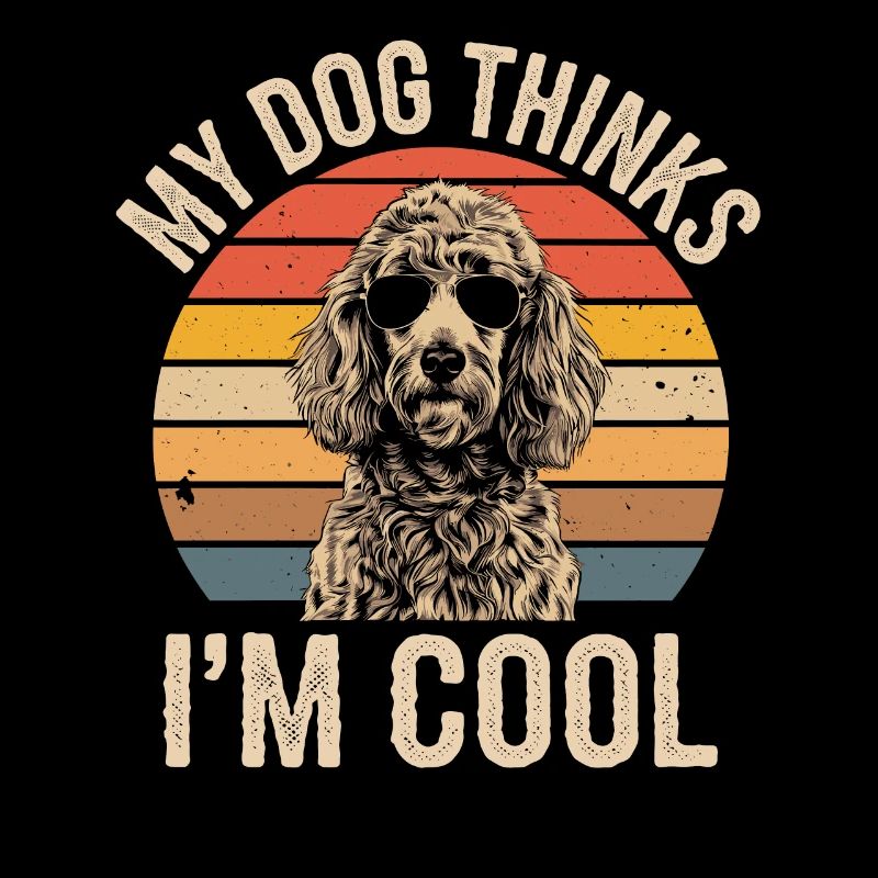 Caniche mon chien pense que je suis cool