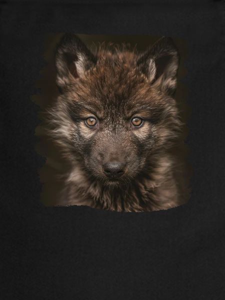 Loups Loup