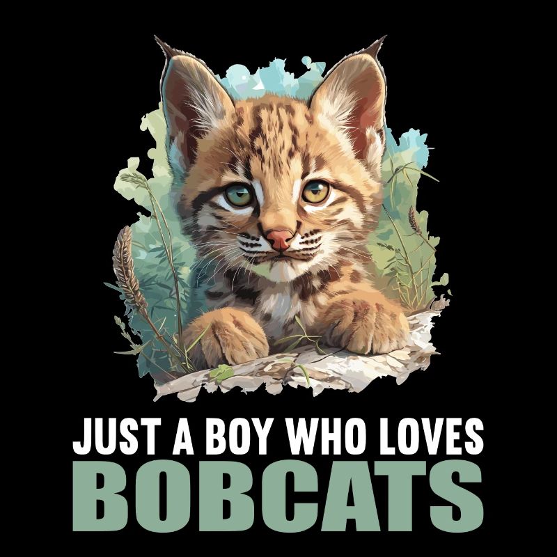Bobcats Rotluchse Rotluchs Luchs