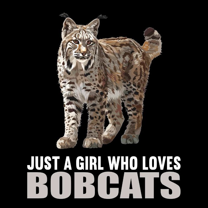 Bobcats Rotluchse Rotluchs Luchs