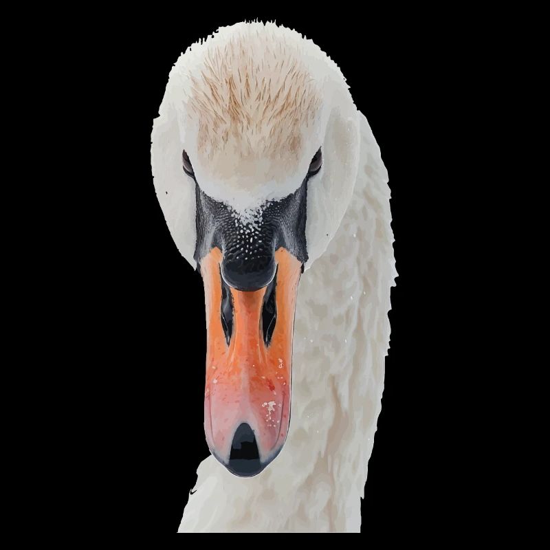 Schwan