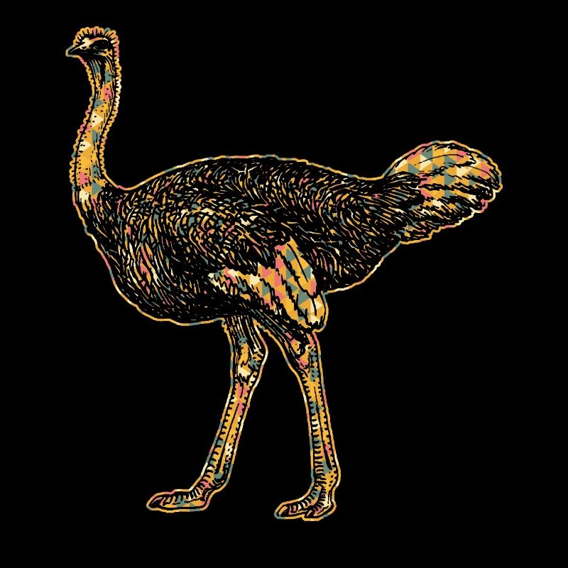 Ostrich Geometric