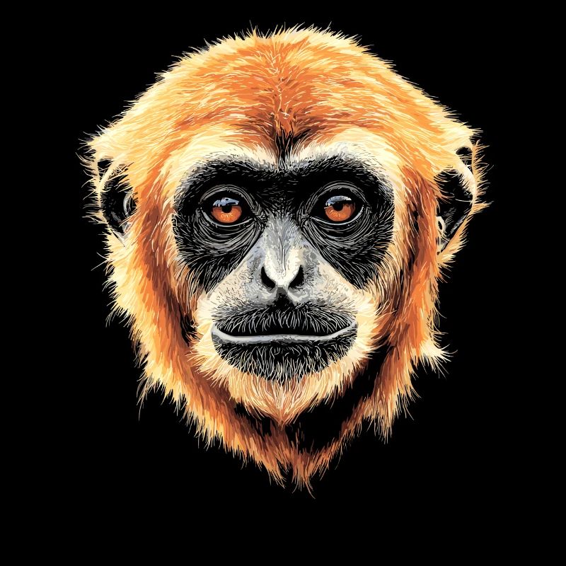 Gibbon Monkey Whitehand Gibbon Monkey Cute Lar Gibbons