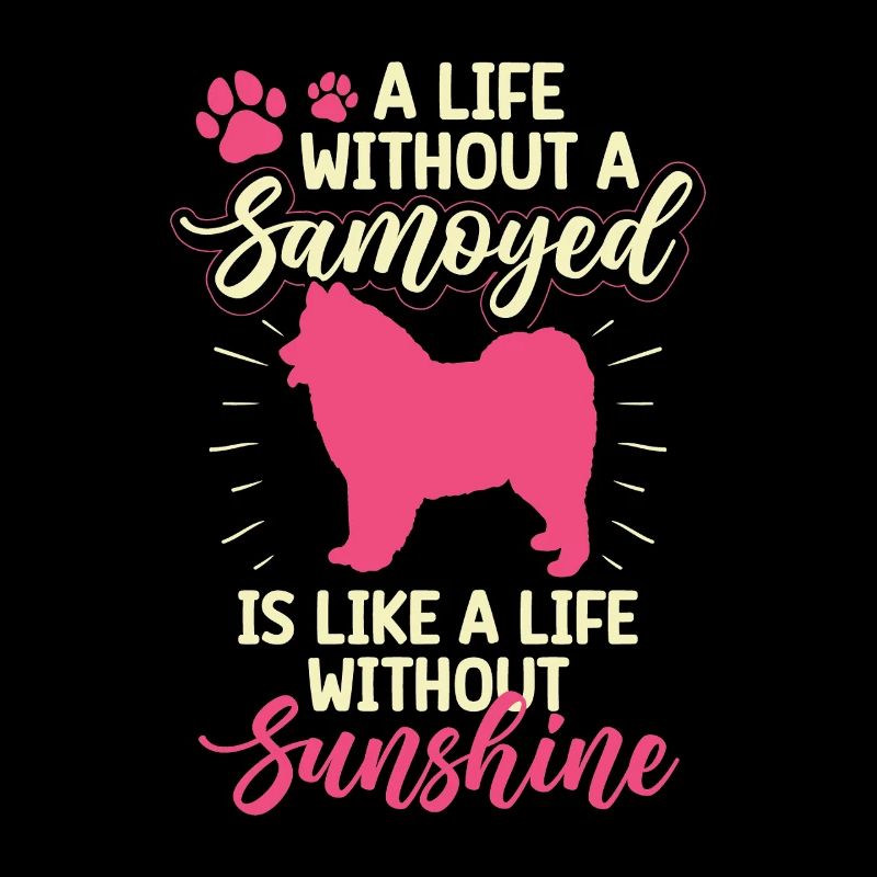 Samojede Samojedenspitz Leben ohne Samojede