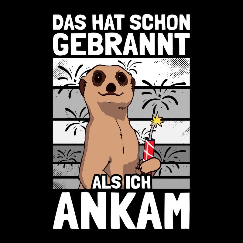 Has already burned, pyrotechnicians, fireworks, fireworks