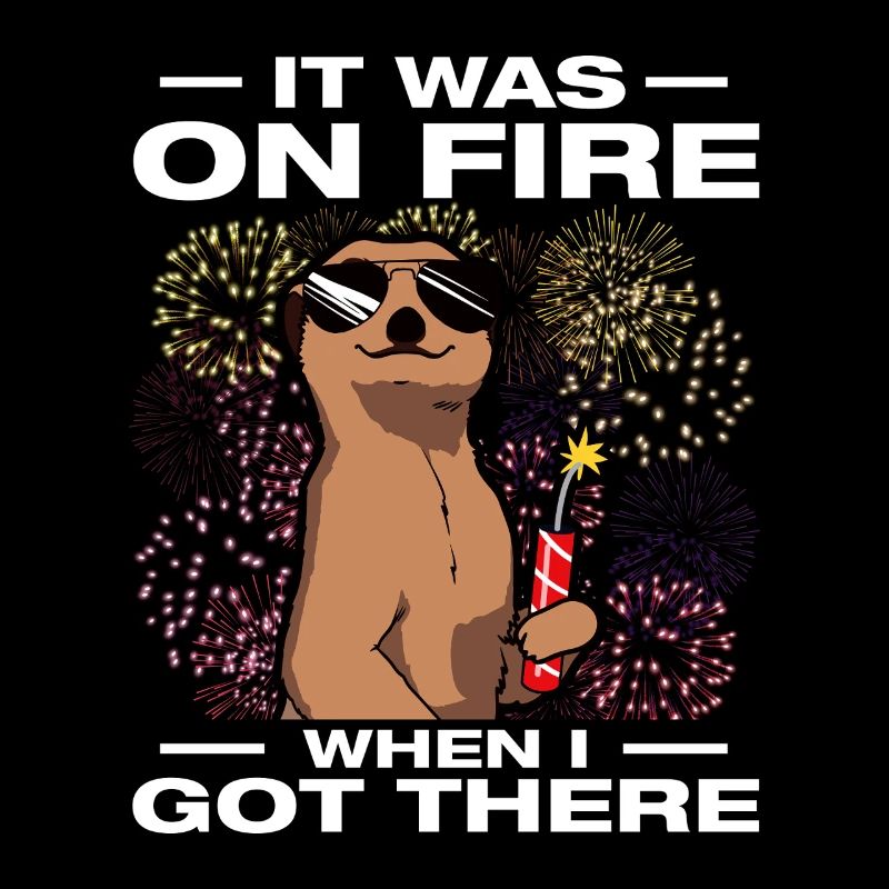 It was on fire: pyrotechnicians, firecrackers, fireworks