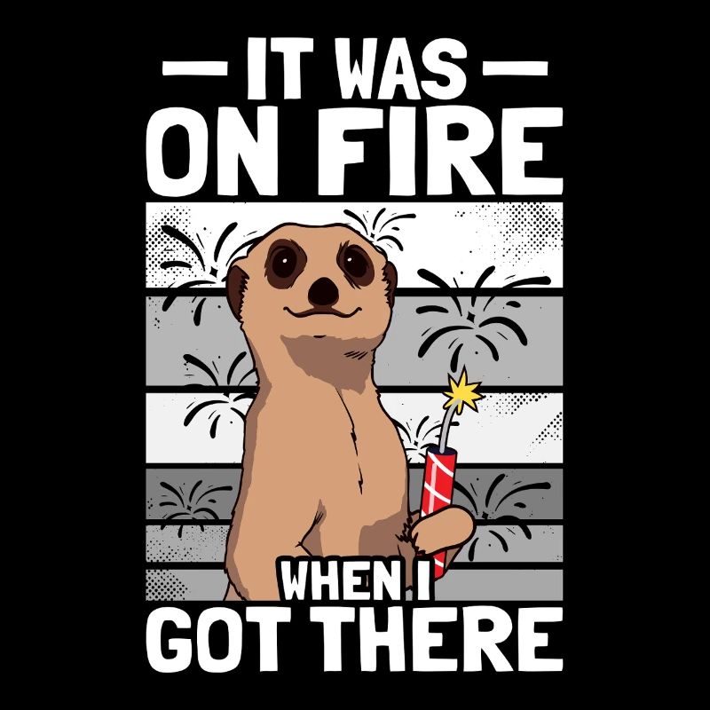 It was on fire: pyrotechnicians, firecrackers, fireworks