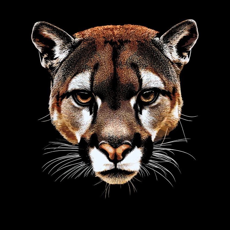 Panthère léopard gros chat mignon gros chat chats