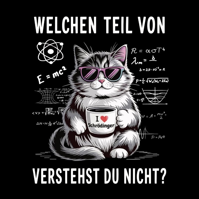 Welchen Teil von Quanten Physik vestehst du nicht