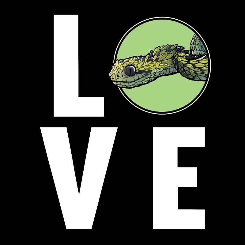 Vipères de brousse Vipère de brousse